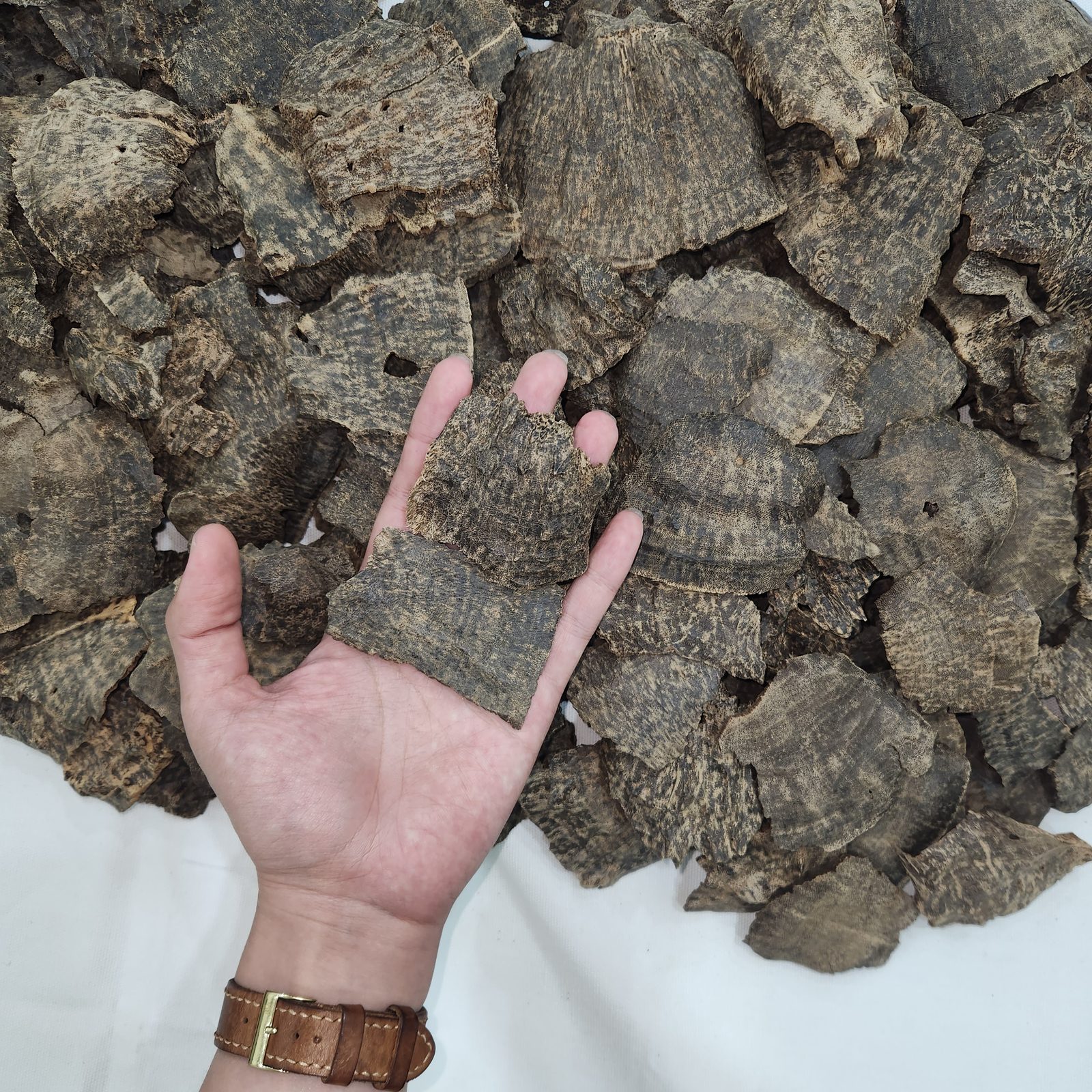 Plantation agarwood Triple Super overview pieces