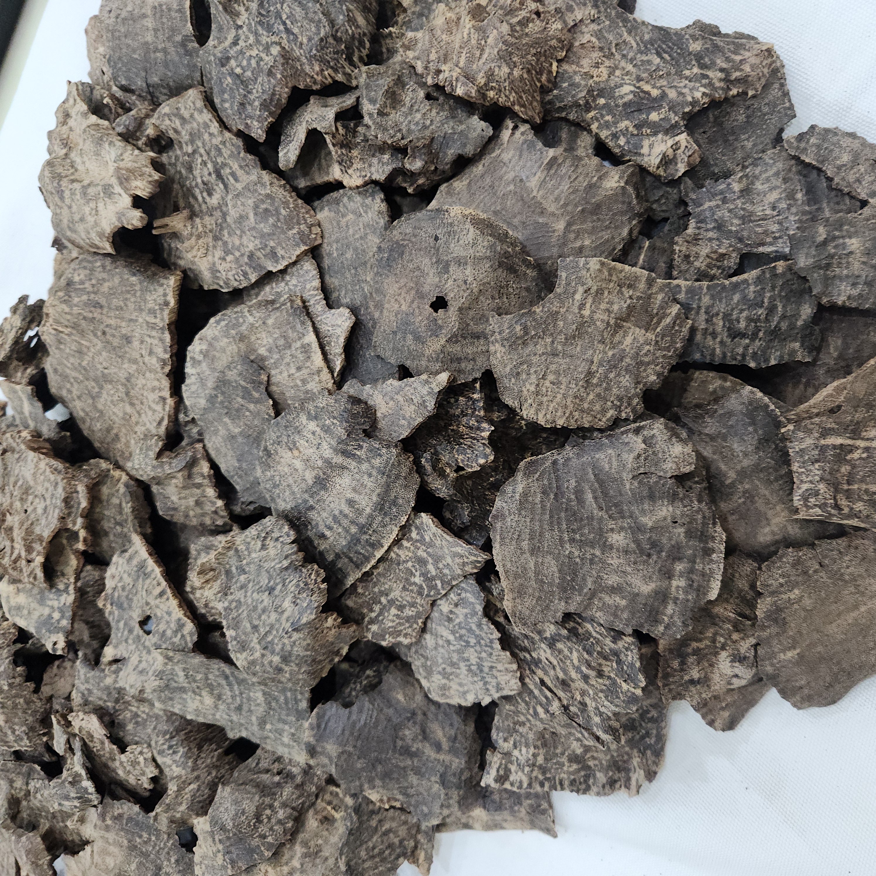 Char oud | pure sweetness and black resin veins