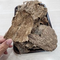 Agarwood | Natural | Stump part Super | Sweet scent 1 gram photo 3