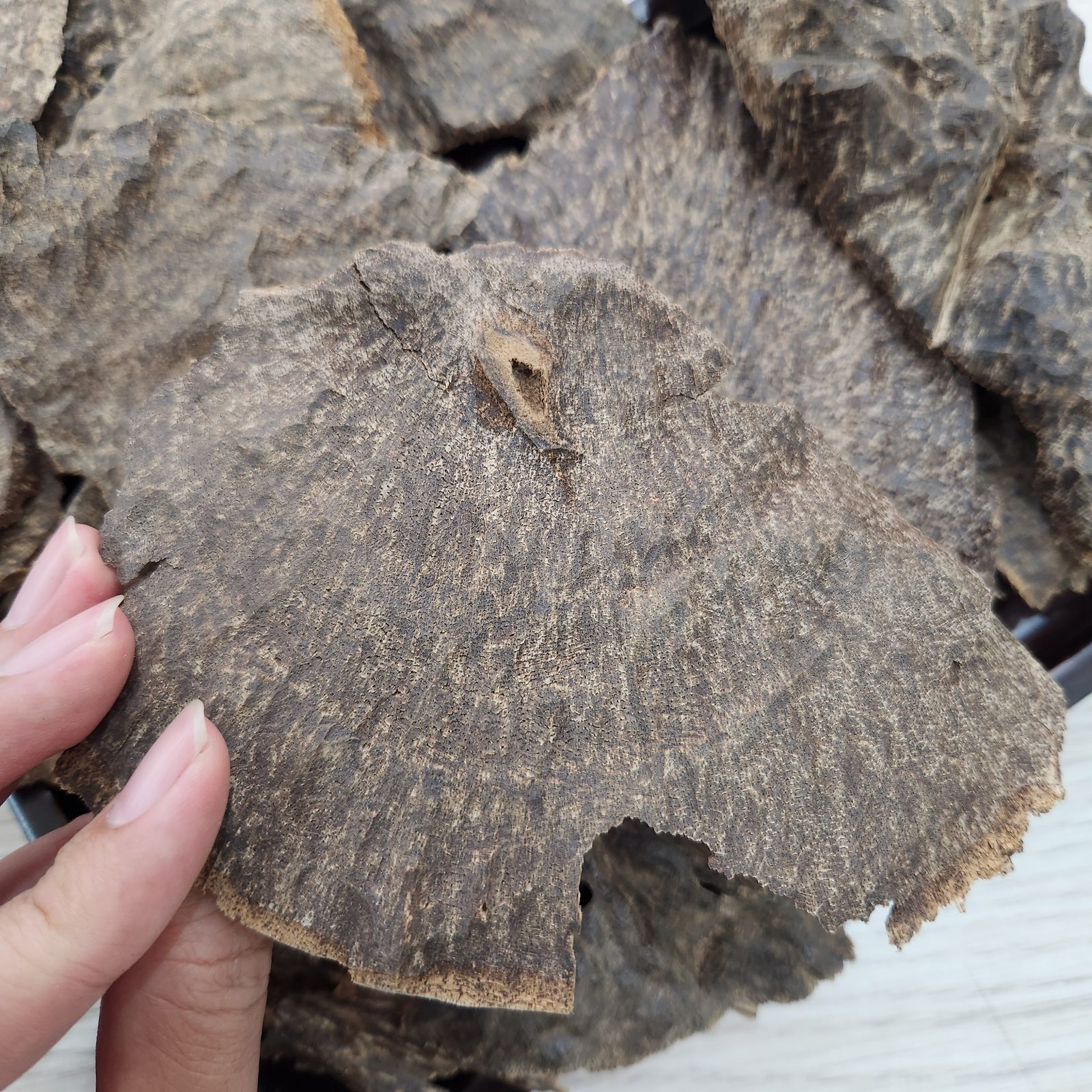 Natural agarwood stump part burning aroma