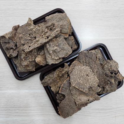 Natural oud stump part from Central Vietnam – sweet woody warmth