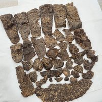 Agarwood | Natural | Stump part King Triple super | sweet woody warmth from Central Vietnam photo 1
