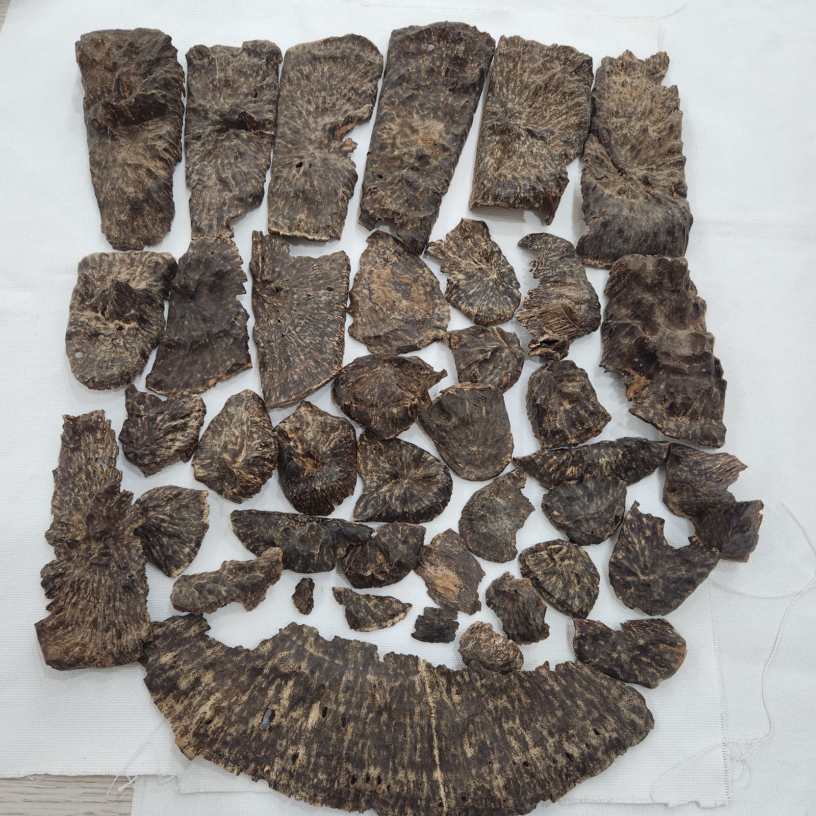 Natural agarwood stump part overview pieces