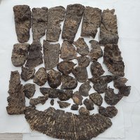 Agarwood | Natural | Stump part King Triple super | sweet woody warmth from Central Vietnam