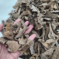 Agarwood | Plantation | Small raw angle oud wood | Woody agarwood ccent 1 gram photo 4
