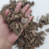 Agarwood | Plantation | Small raw angle oud wood | Woody agarwood ccent 1 gram photo 5